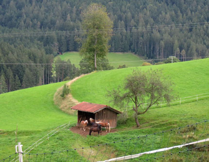 IMG_0793 IMG_0793