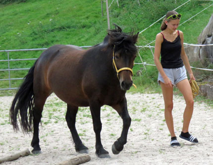 IMG_0819 IMG_0819