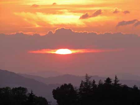 IMG_8503 IMG_8503