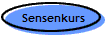 Sensenkurs